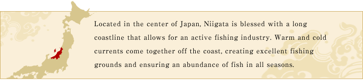 Located in the center of Japan, Niigata is blessed with a long coastline that allows for an active fishing industry. Warm and cold currents come together off the coast, creating excellent fishing grounds and ensuring an abundance of fish in all seasons.